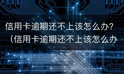 信用卡逾期还不上该怎么办？（信用卡逾期还不上该怎么办）