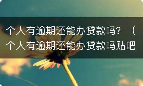 个人有逾期还能办贷款吗？（个人有逾期还能办贷款吗贴吧）