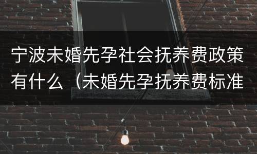 宁波未婚先孕社会抚养费政策有什么（未婚先孕抚养费标准）