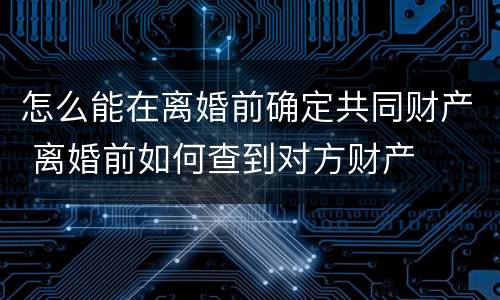怎么能在离婚前确定共同财产 离婚前如何查到对方财产