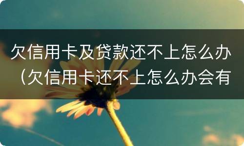 欠信用卡及贷款还不上怎么办（欠信用卡还不上怎么办会有哪些后果）