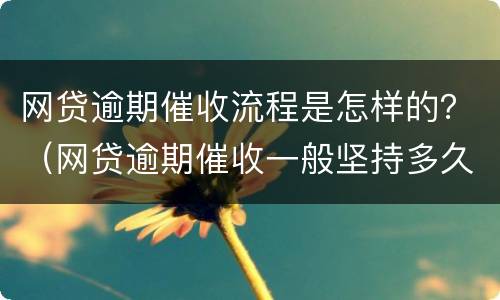 网贷逾期催收流程是怎样的？（网贷逾期催收一般坚持多久）