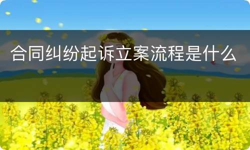 合同纠纷起诉立案流程是什么