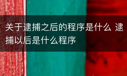 关于逮捕之后的程序是什么 逮捕以后是什么程序