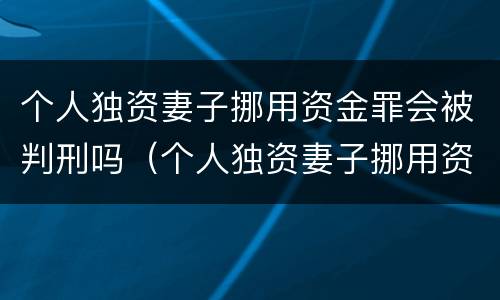 个人独资妻子挪用资金罪会被判刑吗（个人独资妻子挪用资金罪会被判刑吗多少年）