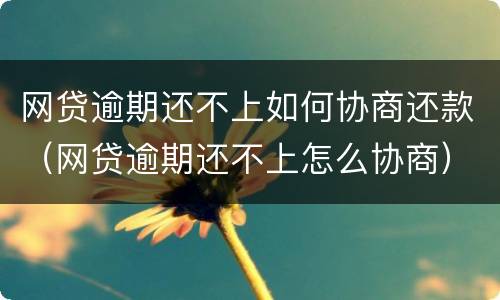 网贷逾期还不上如何协商还款（网贷逾期还不上怎么协商）