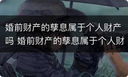 婚前财产的孳息属于个人财产吗 婚前财产的孳息属于个人财产吗