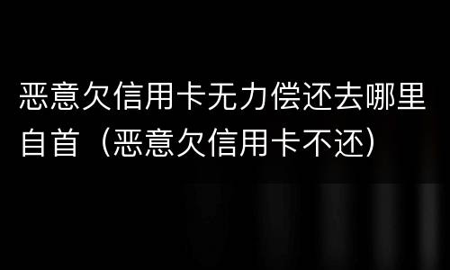 恶意欠信用卡无力偿还去哪里自首（恶意欠信用卡不还）