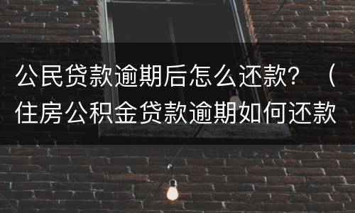 公民贷款逾期后怎么还款？（住房公积金贷款逾期如何还款）