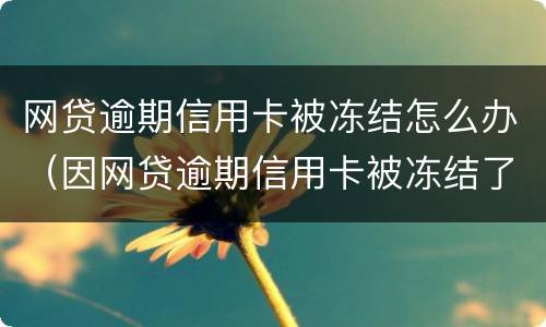 网贷逾期信用卡被冻结怎么办（因网贷逾期信用卡被冻结了怎么办）