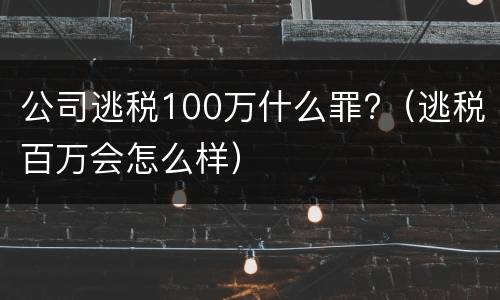 公司逃税100万什么罪?（逃税百万会怎么样）