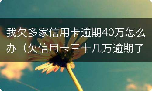 我欠多家信用卡逾期40万怎么办（欠信用卡三十几万逾期了怎么办）