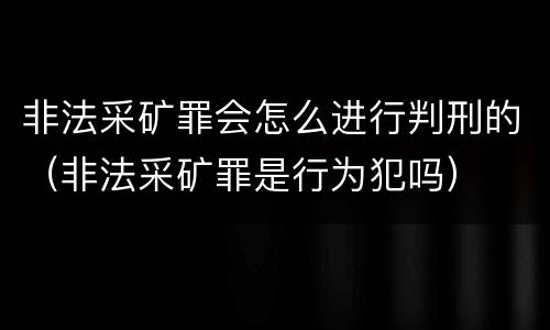 非法采矿罪会怎么进行判刑的（非法采矿罪是行为犯吗）