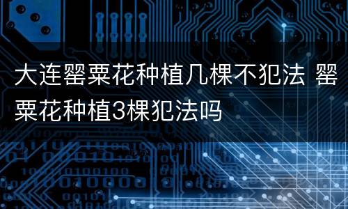 大连罂粟花种植几棵不犯法 罂粟花种植3棵犯法吗