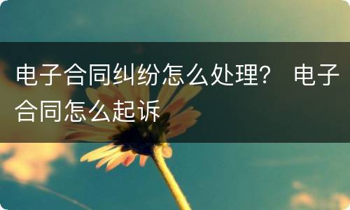 电子合同纠纷怎么处理？ 电子合同怎么起诉