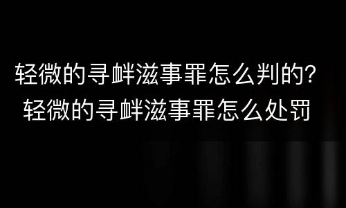 轻微的寻衅滋事罪怎么判的？ 轻微的寻衅滋事罪怎么处罚