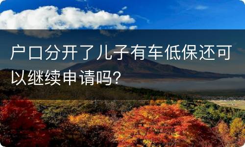 户口分开了儿子有车低保还可以继续申请吗？