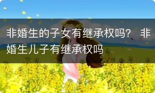 非婚生的子女有继承权吗？ 非婚生儿子有继承权吗