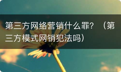 第三方网络营销什么罪？（第三方模式网销犯法吗）