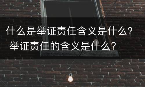 什么是举证责任含义是什么？ 举证责任的含义是什么?