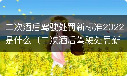 二次酒后驾驶处罚新标准2022是什么（二次酒后驾驶处罚新标准2022是什么情况）