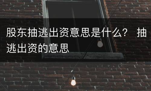 股东抽逃出资意思是什么？ 抽逃出资的意思