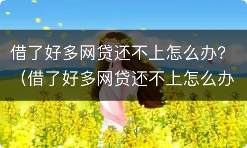 借了好多网贷还不上怎么办？（借了好多网贷还不上怎么办）