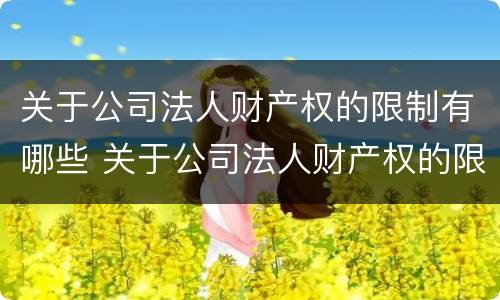 关于公司法人财产权的限制有哪些 关于公司法人财产权的限制有哪些法律规定