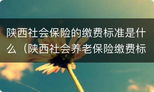 陕西社会保险的缴费标准是什么（陕西社会养老保险缴费标准）