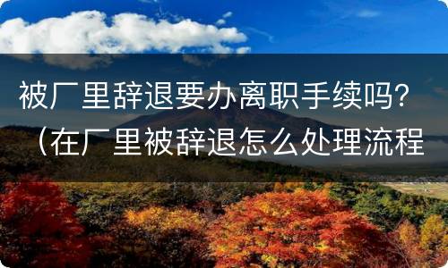被厂里辞退要办离职手续吗？（在厂里被辞退怎么处理流程）