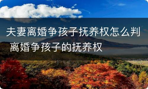 夫妻离婚争孩子抚养权怎么判 离婚争孩子的抚养权