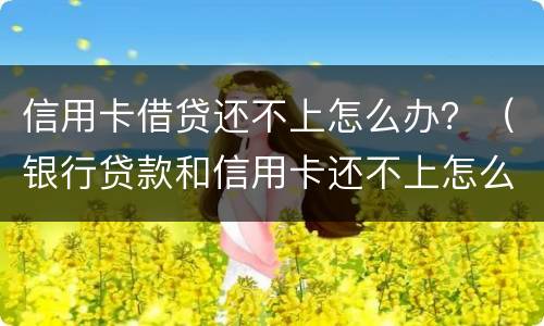 信用卡借贷还不上怎么办？（银行贷款和信用卡还不上怎么办）