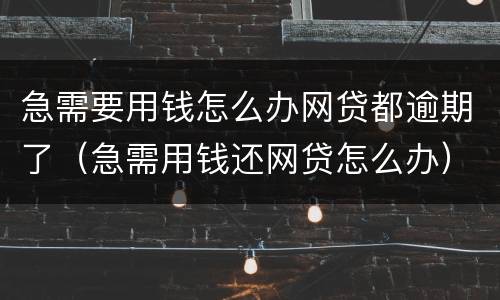 急需要用钱怎么办网贷都逾期了（急需用钱还网贷怎么办）