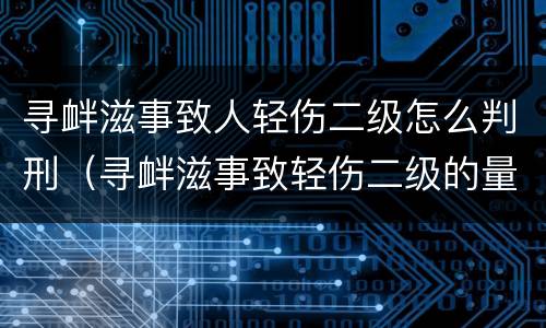 寻衅滋事致人轻伤二级怎么判刑（寻衅滋事致轻伤二级的量刑标准）