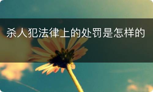 杀人犯法律上的处罚是怎样的