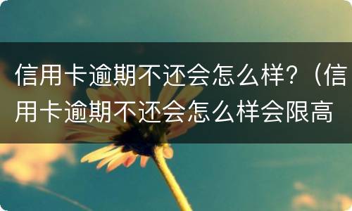 信用卡逾期不还会怎么样?（信用卡逾期不还会怎么样会限高吗?）