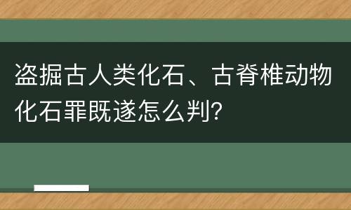 盗掘古人类化石、古脊椎动物化石罪既遂怎么判？