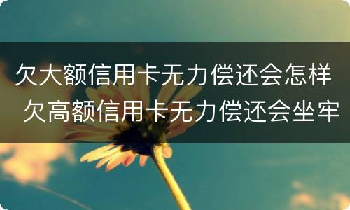 欠大额信用卡无力偿还会怎样 欠高额信用卡无力偿还会坐牢吗?