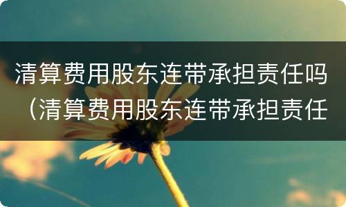 清算费用股东连带承担责任吗（清算费用股东连带承担责任吗）