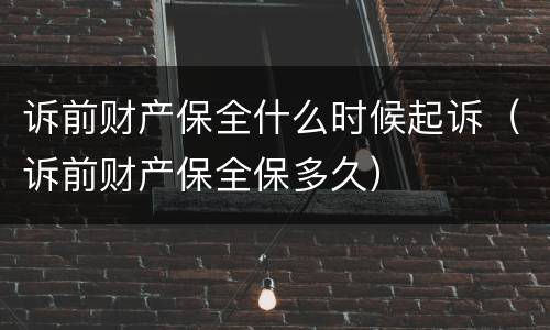 诉前财产保全什么时候起诉（诉前财产保全保多久）