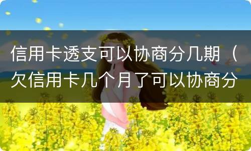 信用卡透支可以协商分几期（欠信用卡几个月了可以协商分期还吗）