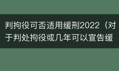 判拘役可否适用缓刑2022（对于判处拘役或几年可以宣告缓刑）