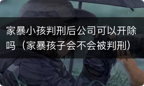 家暴小孩判刑后公司可以开除吗（家暴孩子会不会被判刑）