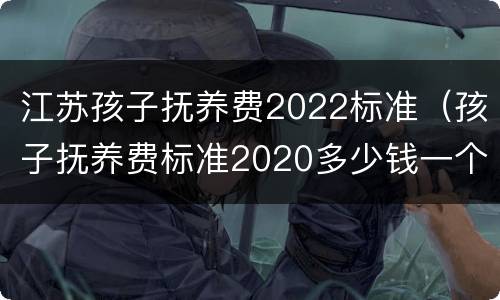 江苏孩子抚养费2022标准（孩子抚养费标准2020多少钱一个月江苏）