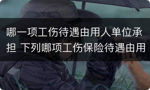 哪一项工伤待遇由用人单位承担 下列哪项工伤保险待遇由用人单位承担?