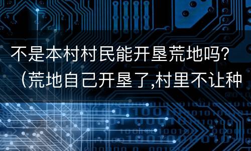 不是本村村民能开垦荒地吗？（荒地自己开垦了,村里不让种地了）