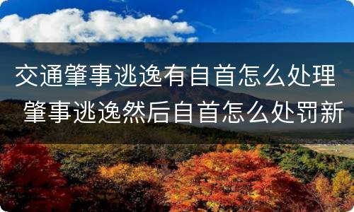 交通肇事逃逸有自首怎么处理 肇事逃逸然后自首怎么处罚新交规