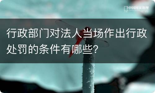 行政部门对法人当场作出行政处罚的条件有哪些？