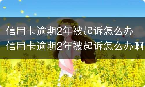 信用卡逾期2年被起诉怎么办 信用卡逾期2年被起诉怎么办啊