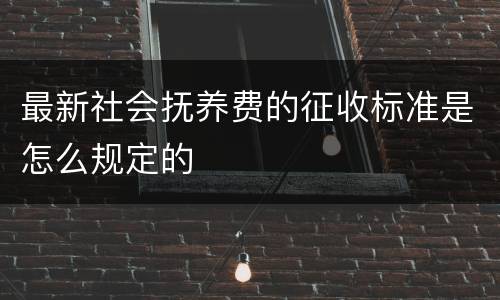 最新社会抚养费的征收标准是怎么规定的